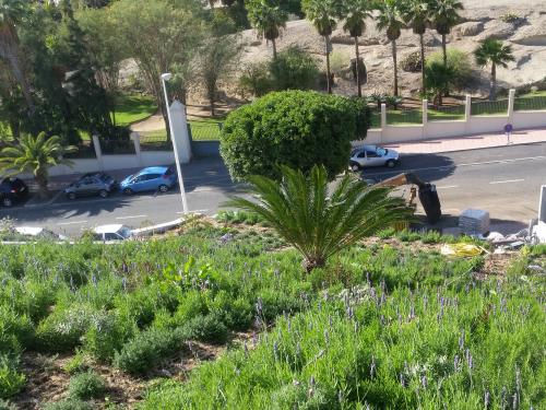 Pitched green roof with palm trees